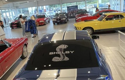 2 Mustang 60 ar