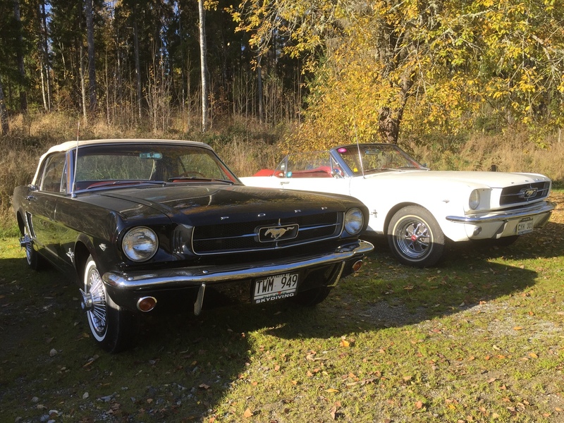Robert Hansson Mustang Convertible 1964 ½