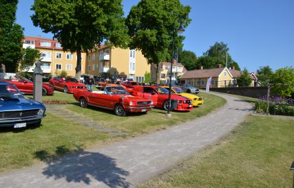 DSC 0001