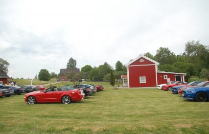 DSC 0330