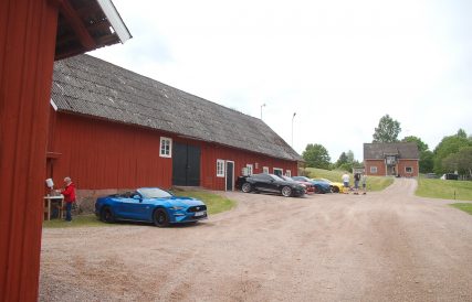 DSC 0333