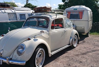 DSC 1950 1