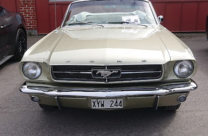 DSC 3261