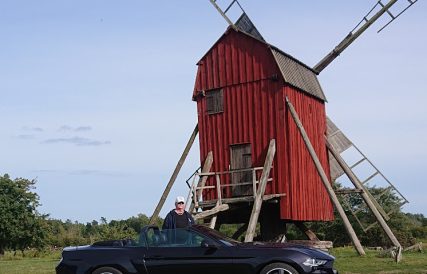 DSC 37742