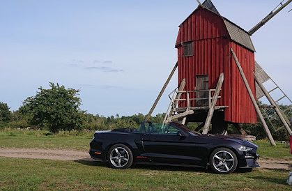 DSC 3775