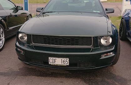 DSC 3784