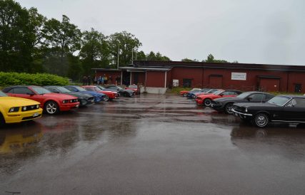 DSC 7226