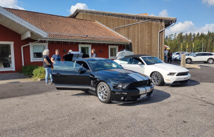 Falkenberg 04