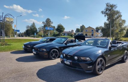 Falkenberg 11
