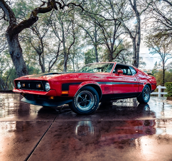 Familj av mustanghastar@2x