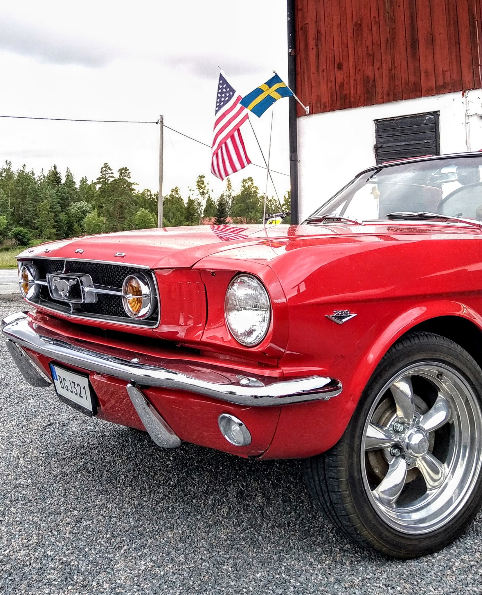 Mustangens födelsedag firar vi den 26 april