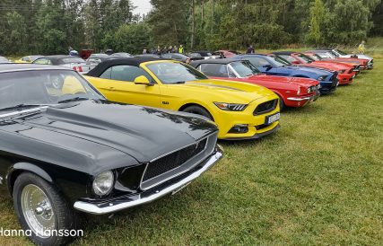 Ford Grastorp 06
