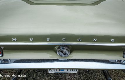Ford Grastorp 07