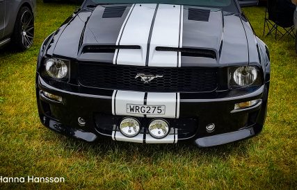 Ford Grastorp 08
