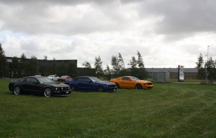 IMG 0646