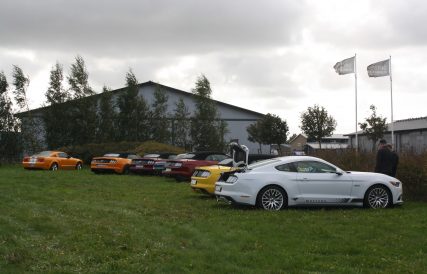 IMG 0647