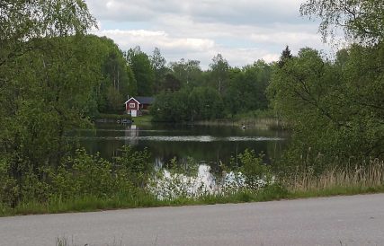 IMG 20210604 140204650