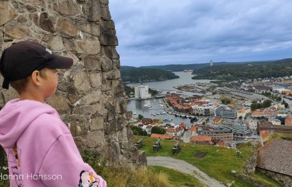 IMG 20220910 105610328 HDR 1