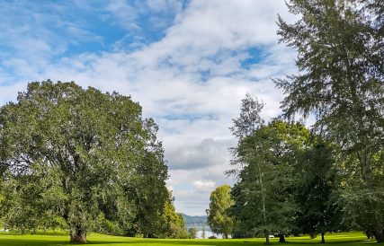 IMG 20220911 122641263 HDR