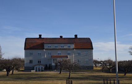 IMG 20250315 082528