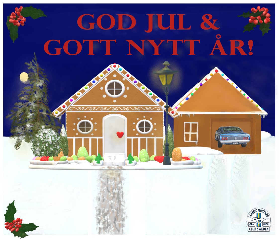 julbild2024 kvadratisk
