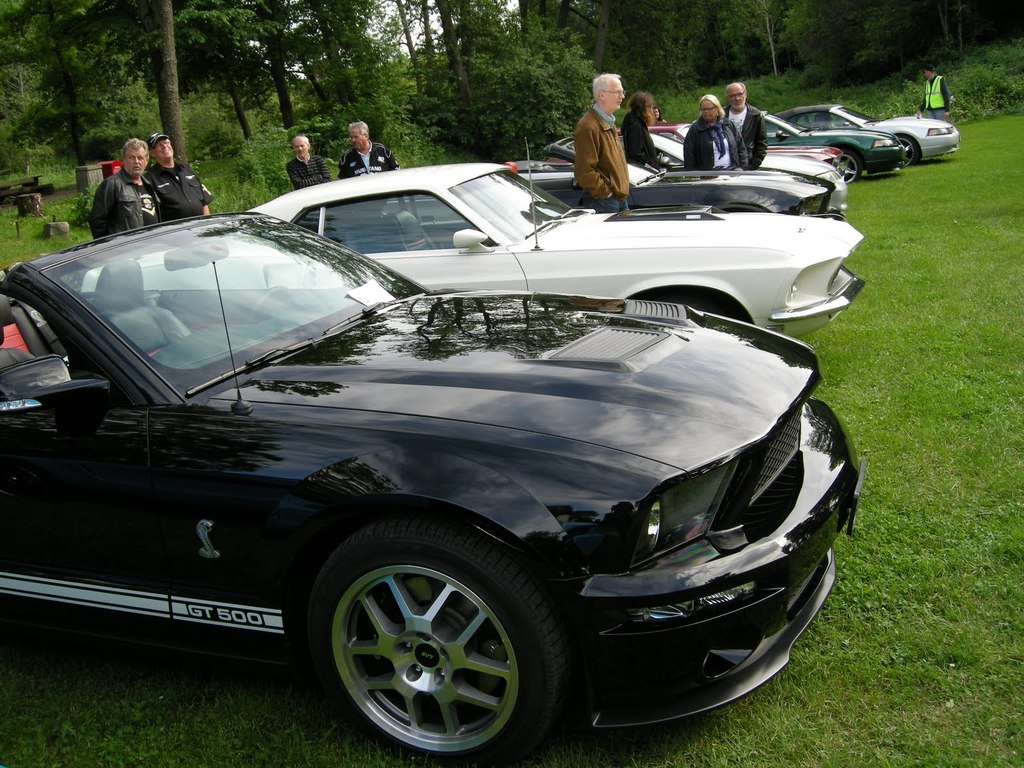 large.027.JPG