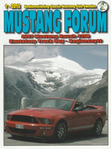 MF 2013 1