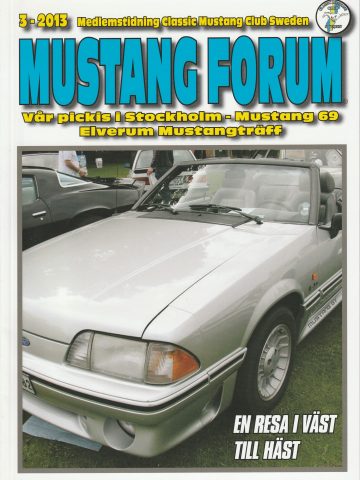 MF 2013 3