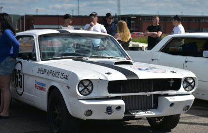 Mustang 01