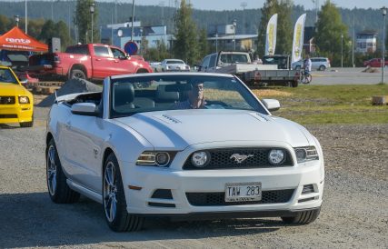 Mustang 02