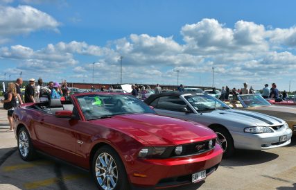 Mustang 02
