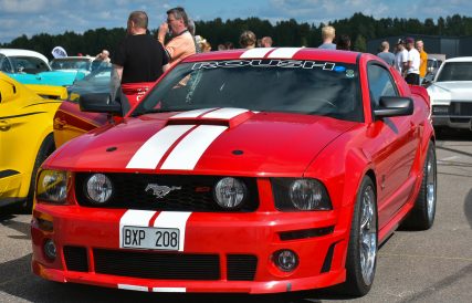 Mustang 03