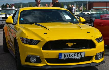 Mustang 04