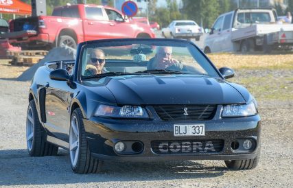 Mustang 05