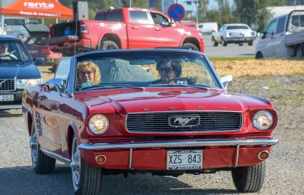Mustang 06