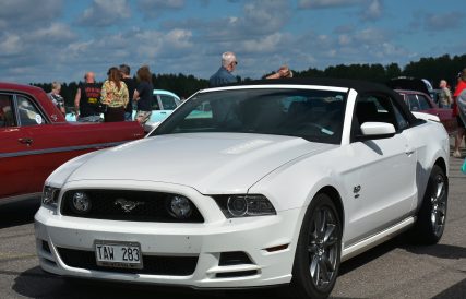Mustang 06