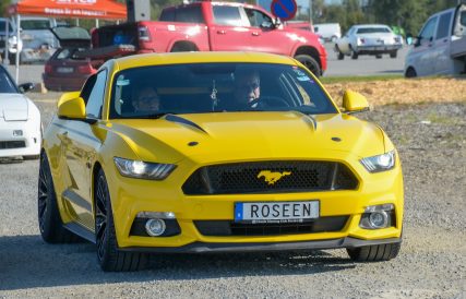Mustang 07