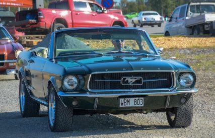 Mustang 08