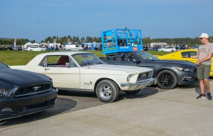 Mustang 11