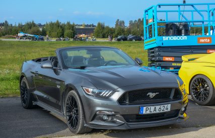Mustang 12