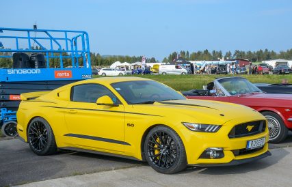 Mustang 13