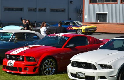 Mustang 13