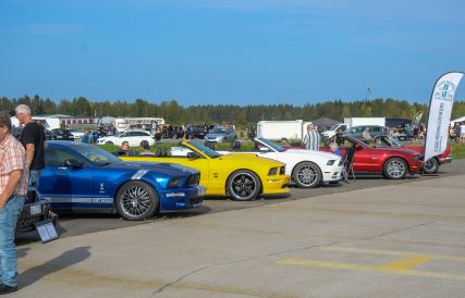 Mustang 14