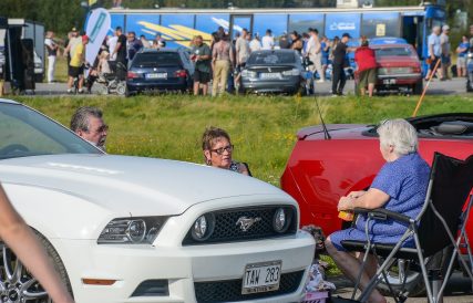 Mustang 15