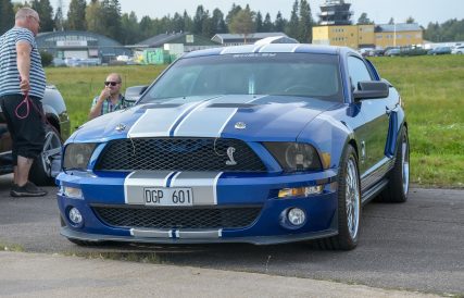 Mustang 16