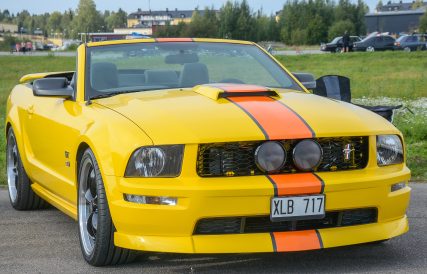 Mustang 17