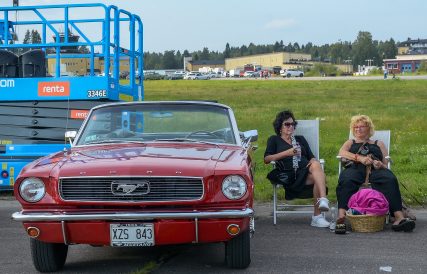 Mustang 19