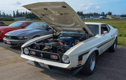Mustang 22