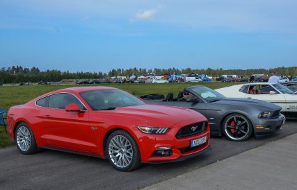 Mustang 23