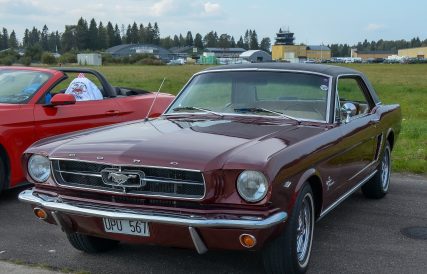 Mustang 24